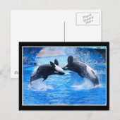 ホエール写真はがき ポストカード (正面/裏面)