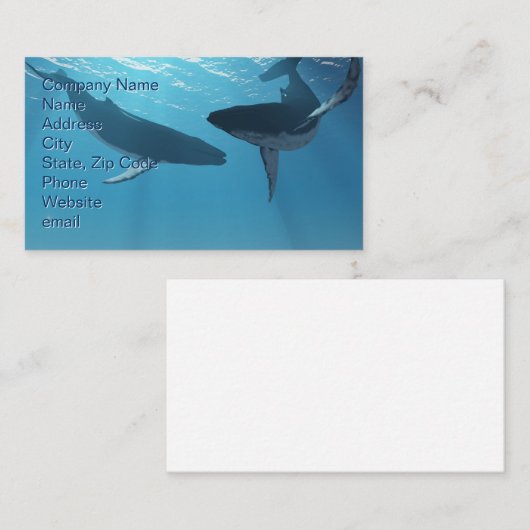 ホエー疑問に思ラ 名刺 (正面/裏面)