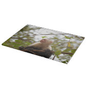 ホオジロホウキモンキーの写真 カッティングボード (角)