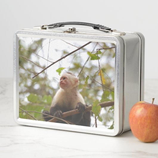 ホオジロホウキモンキーの写真 メタルランチボックス (インサイチュ)