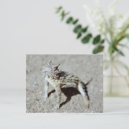 ホオズキ ポストカード (スタンド正面)