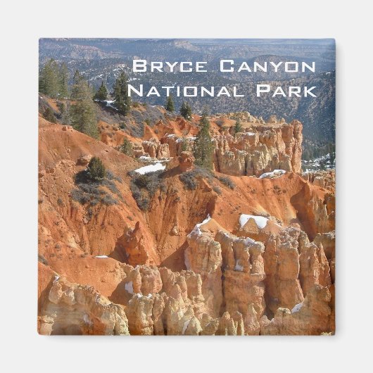 ホオドス マグネット (正面)