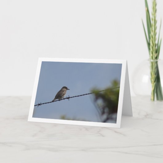 ホオドリ カード (正面)