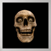 ホオドースカル ポスター (正面)