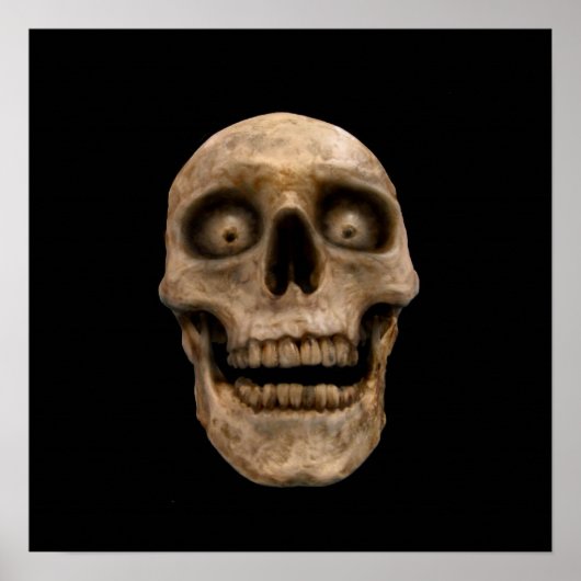 ホオドースカル ポスター (正面)