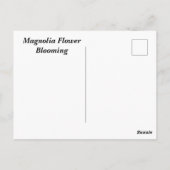 ホオノキの花が咲く ポストカード (裏面)