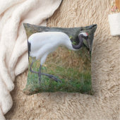 ホオノキ クッション (ブランケット)