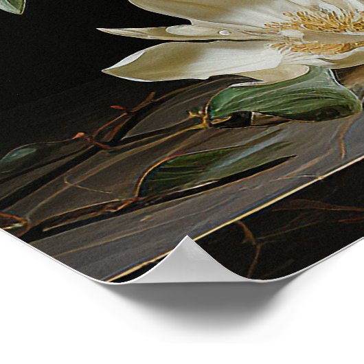 ホオノキ ポスター (角)