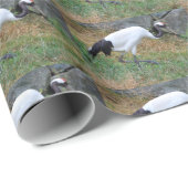 ホオノキ ラッピングペーパー (ロールコーナー)