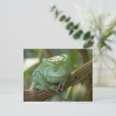 ホオメツバ ポストカード (スタンド正面)