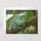 ホオメツバ ポストカード (正面/裏面)