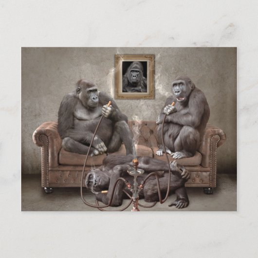 ホカ喫煙APESポストカード ポストカード (正面)