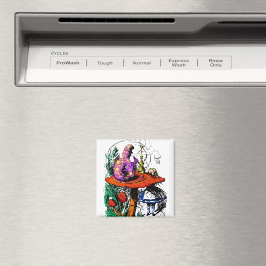 ホカ マグネット (インサイチュ (食洗機))