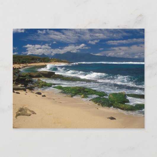ホキパビーチマウイハワイ ポストカード (正面)