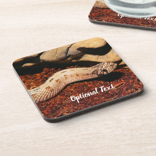 ホグノスペットスネーク コースター (左側)