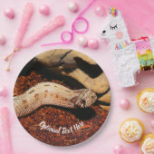 ホグノスペットスネーク ペーパープレート (パーティー)