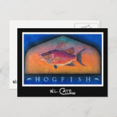 ホグフィッシュポストカード ポストカード (正面/裏面)