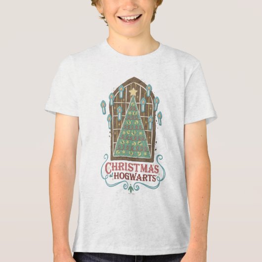 ホグワーツ™のクリスマスコースター グラフィック トライブレンドＴシャツ (正面)