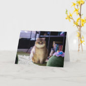 ホシコが見ている カード (黄色い花)