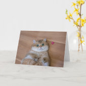 ホシコとハート カード (黄色い花)