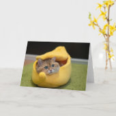 ホシコとバナナ カード (黄色い花)
