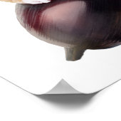 ホシコエピファニア ポスター (角)