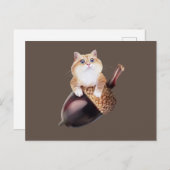 ホシコエピファニア ポストカード (正面/裏面)