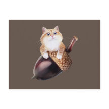 ホシコエピファニア