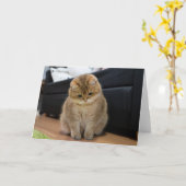 ホシコカワイトベビー カード (黄色い花)