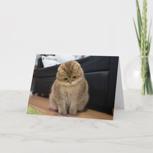 ホシコカワイトベビー カード (正面)