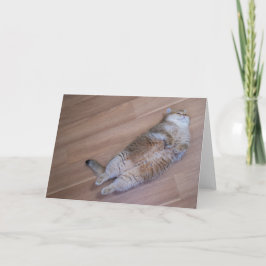 ホシコハエ カード