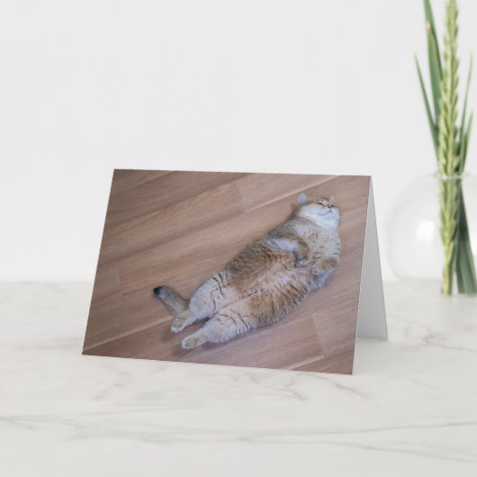 ホシコハエ カード (正面)