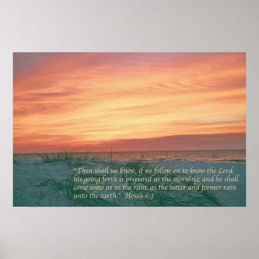 ホシー6:3 ポスター (正面)