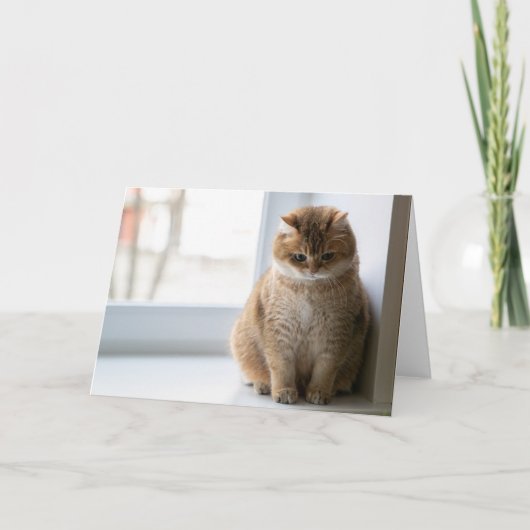 ホシ考えコ カード (正面)