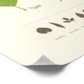 ホジャスデアルボール ポスター (角)