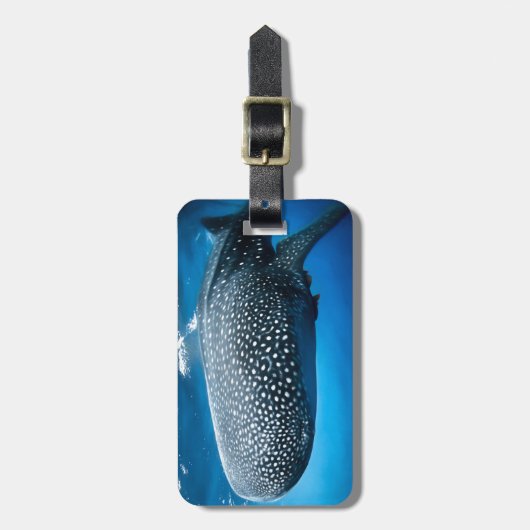 ホジラザメ ラゲッジタグ (正面縦)