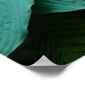 ホスタとシダのポスター ポスター (角)