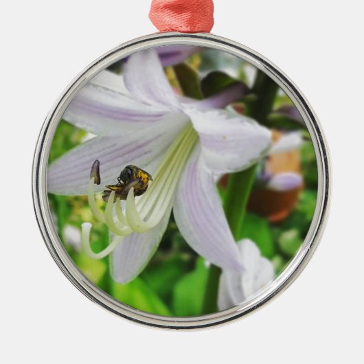 ホスタと昆虫 メタルオーナメント (正面)