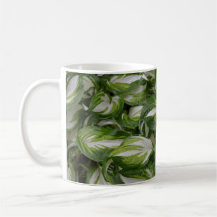 ホスタストライプの植物 コーヒーマグカップ
