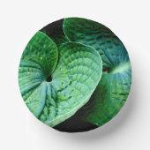 ホスタハート ペーパーボウル (正面)