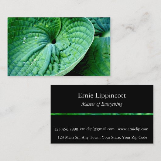 ホスタハート 名刺 (正面/裏面)