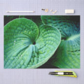 ホスタハート 薄葉紙 (クラフト)