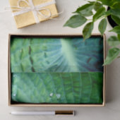 ホスタハート 薄葉紙 (ギフト)