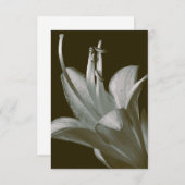 ホスタフラワー写真エレガントヴィンテージセピア (正面/裏面)