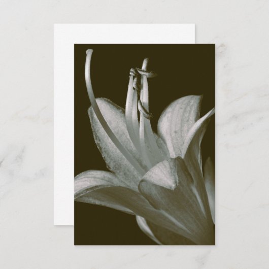 ホスタフラワー写真エレガントヴィンテージセピア (正面/裏面)