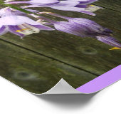 ホスタフラワー ポスター (角)