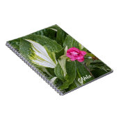 ホスタプラントアンドピンクアザレアフローラ ノートブック (右側)