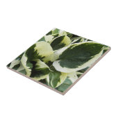 ホスタプラント葉フローラ タイル (側面)