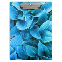 ホスタ植物クリップボード