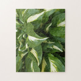 ホスタ葉ズ ジグソーパズル